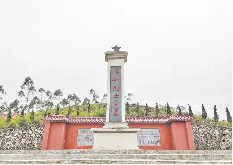 图片11.png